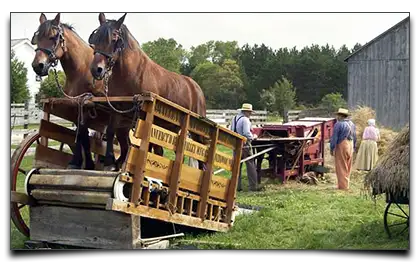 boks z bieżnią dla koni
