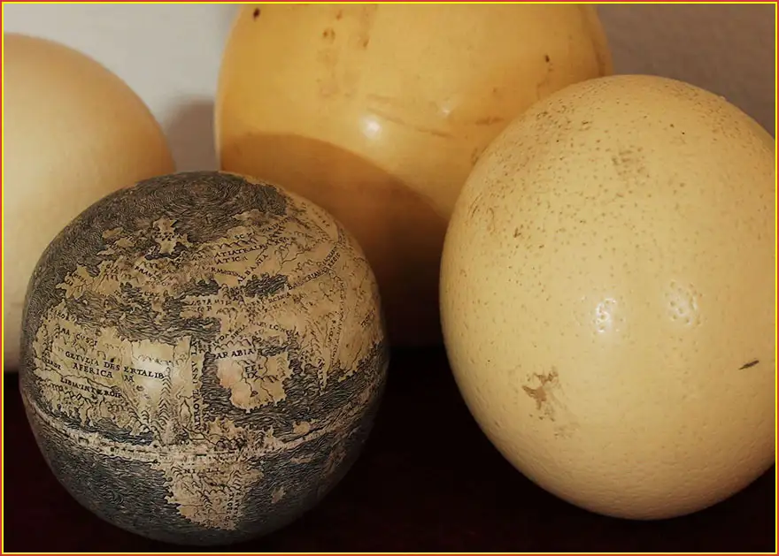 globus na skorupie jaja globus na skorupie jaja