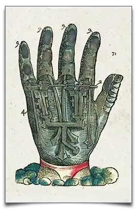 proteza dłoni proteza dłoni