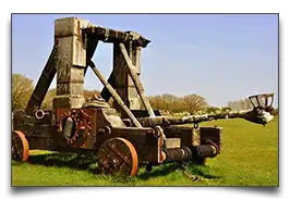 onager