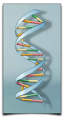 spirala DNA