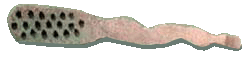 szczoteczka do zębów