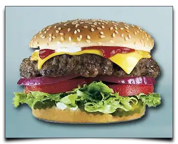 hamburger