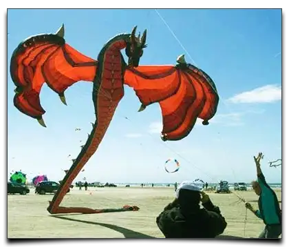 latawiec draco