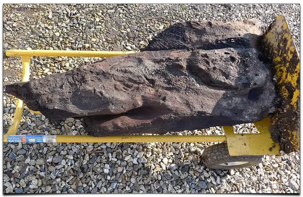 rzeźbiony kawałek drewna