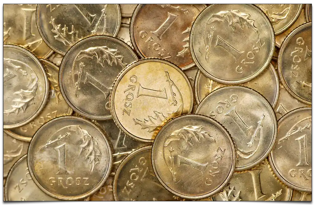 monety jednogroszowe