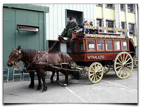 omnibus