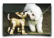 piesek - robot
