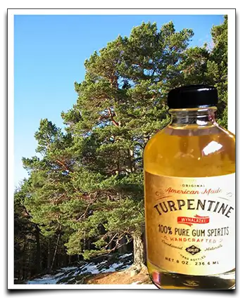 terpentyna i pistacja