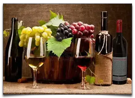 wino